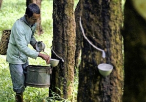 Thai Rubber City: To attract investment